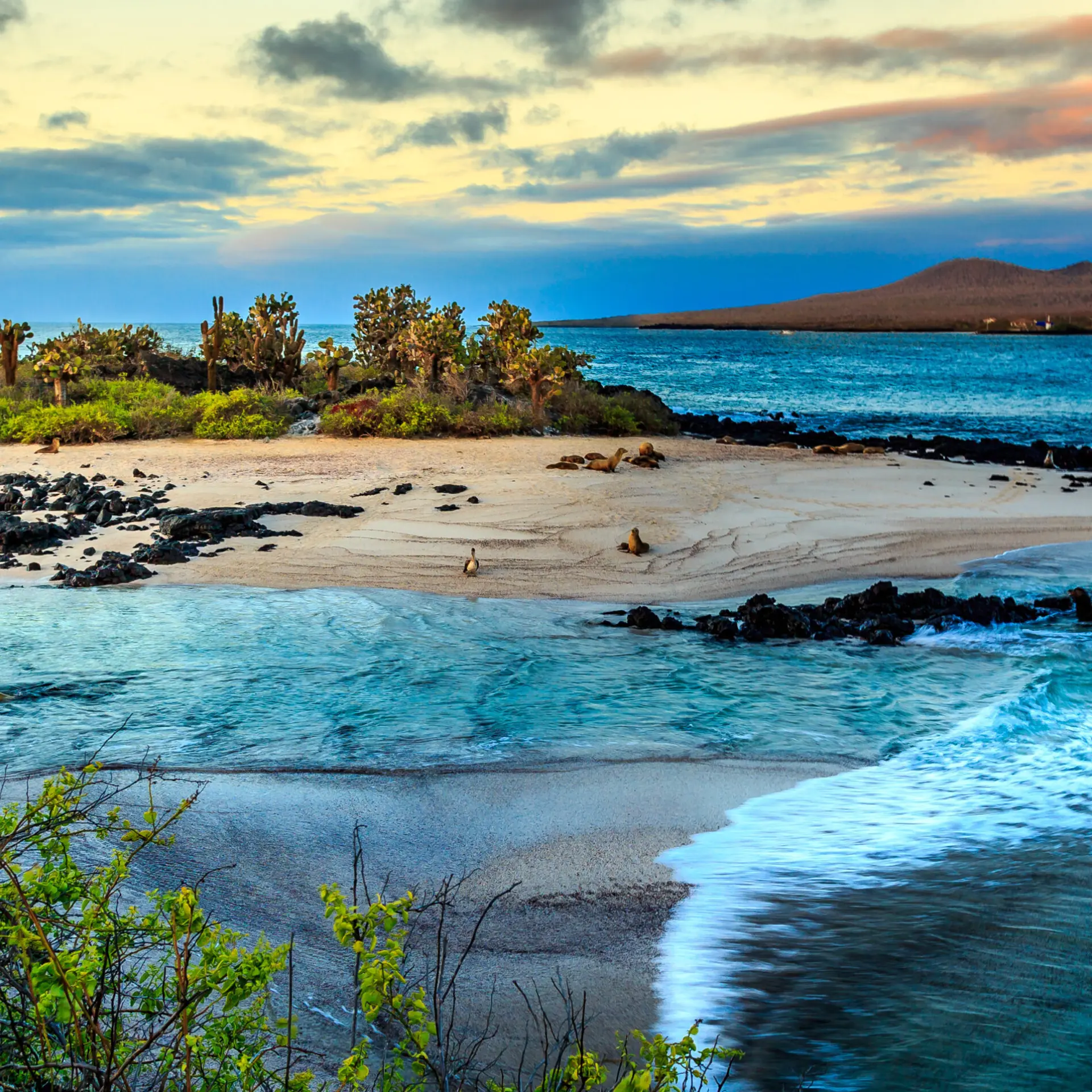 Galapagos 1