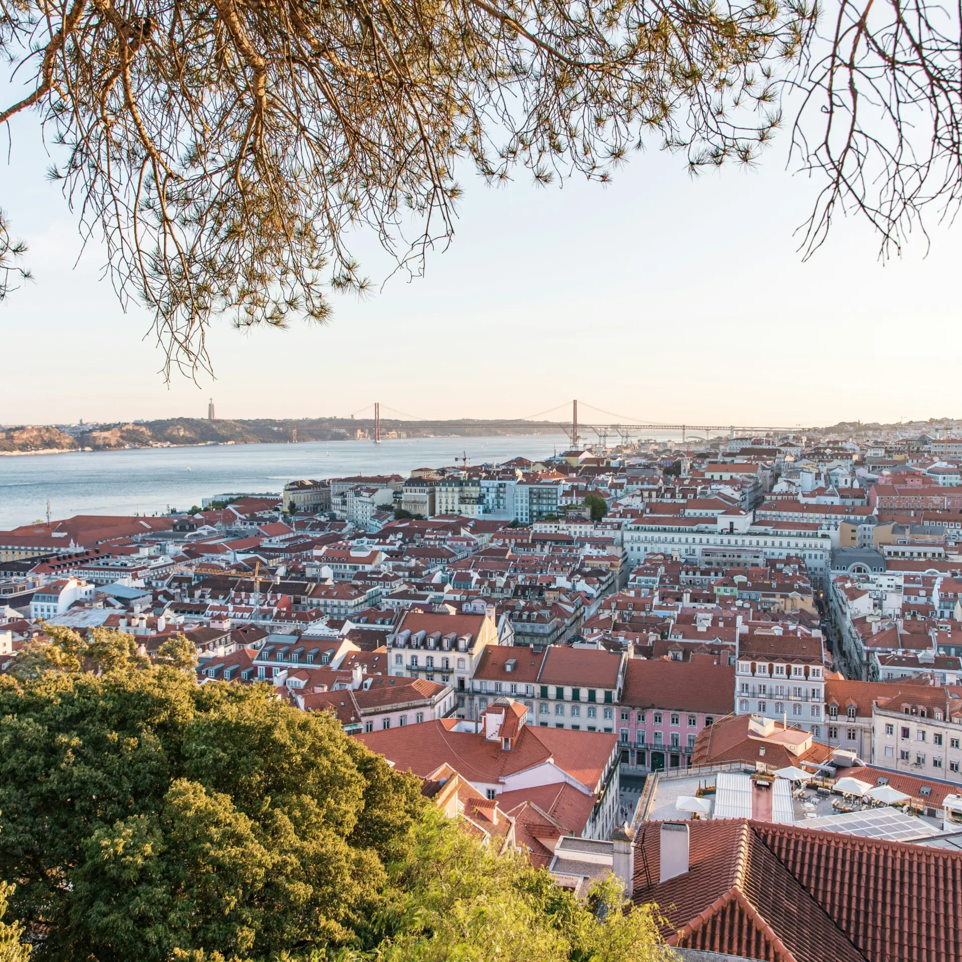 Andre lergier L Er Qct1a BD4 unsplash