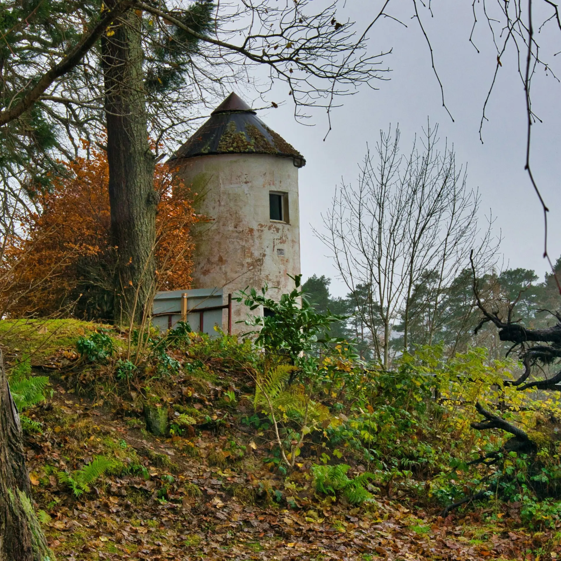 Steve douglas ttej6tevjzc unsplash