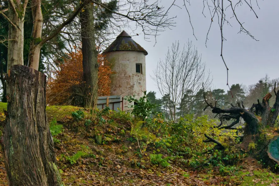 Steve douglas ttej6tevjzc unsplash