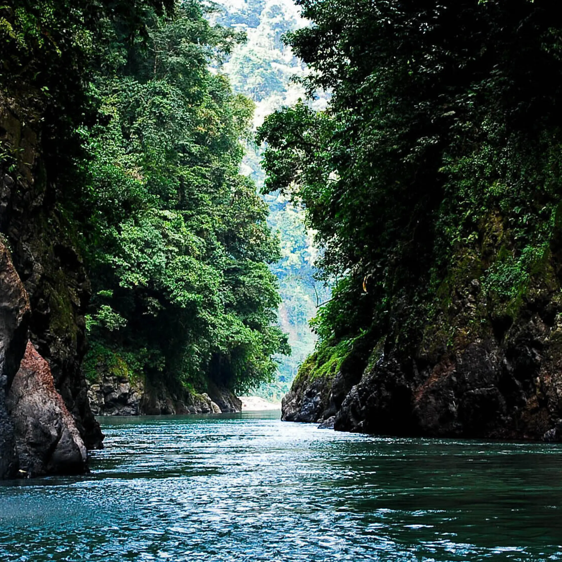 Pacuare rivier