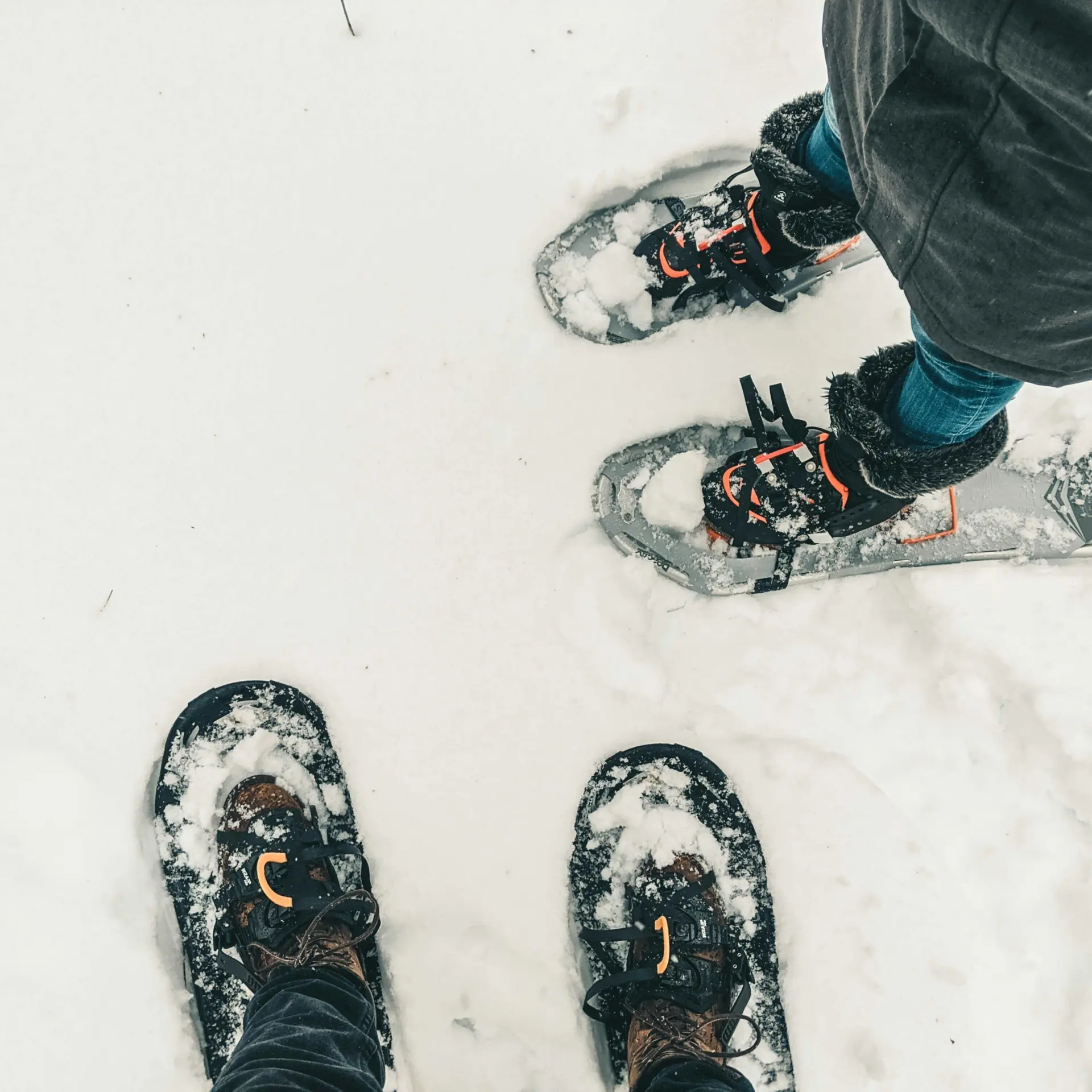 1769158076181ali kazal w3wc21pdmc4 unsplash