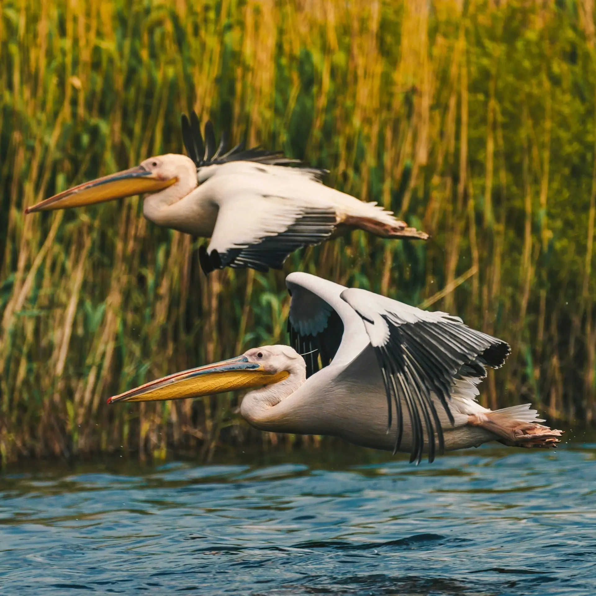 1765548805938calin stan kmn1td23z0y unsplash