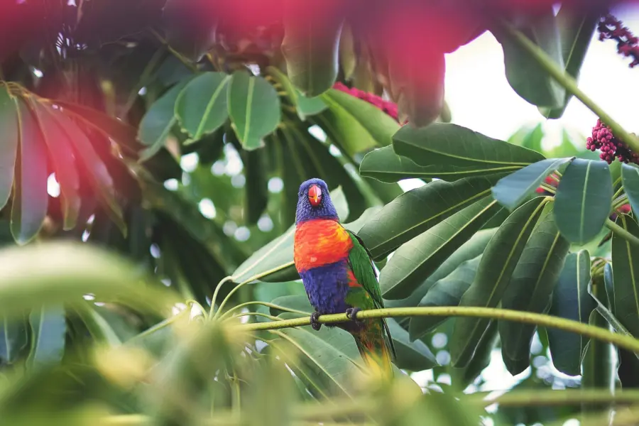 Claude piche 9uuy6rf7ipw unsplash