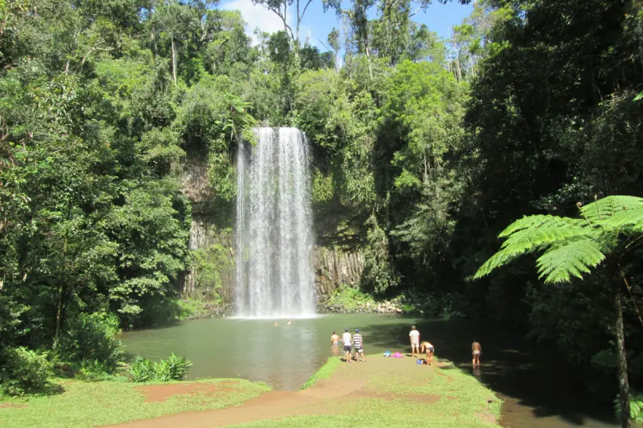 Martina jorden ss55n1md5a unsplash