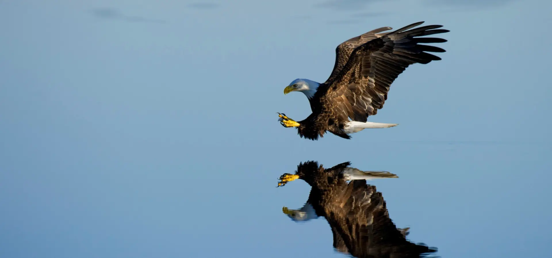 Ray hennessy oje4rtaibfc unsplash