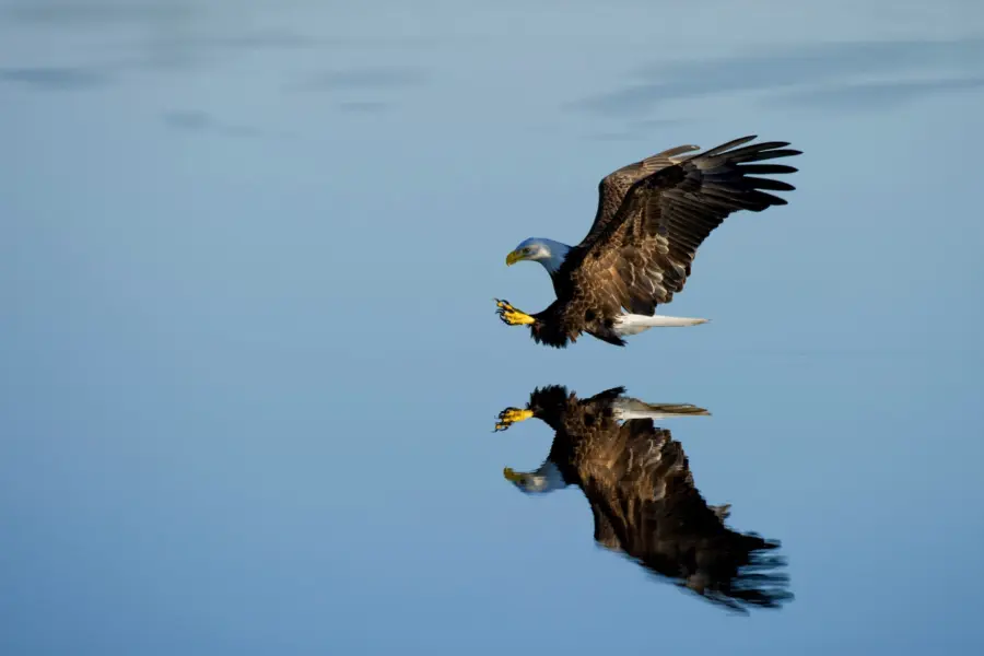 Ray hennessy oje4rtaibfc unsplash