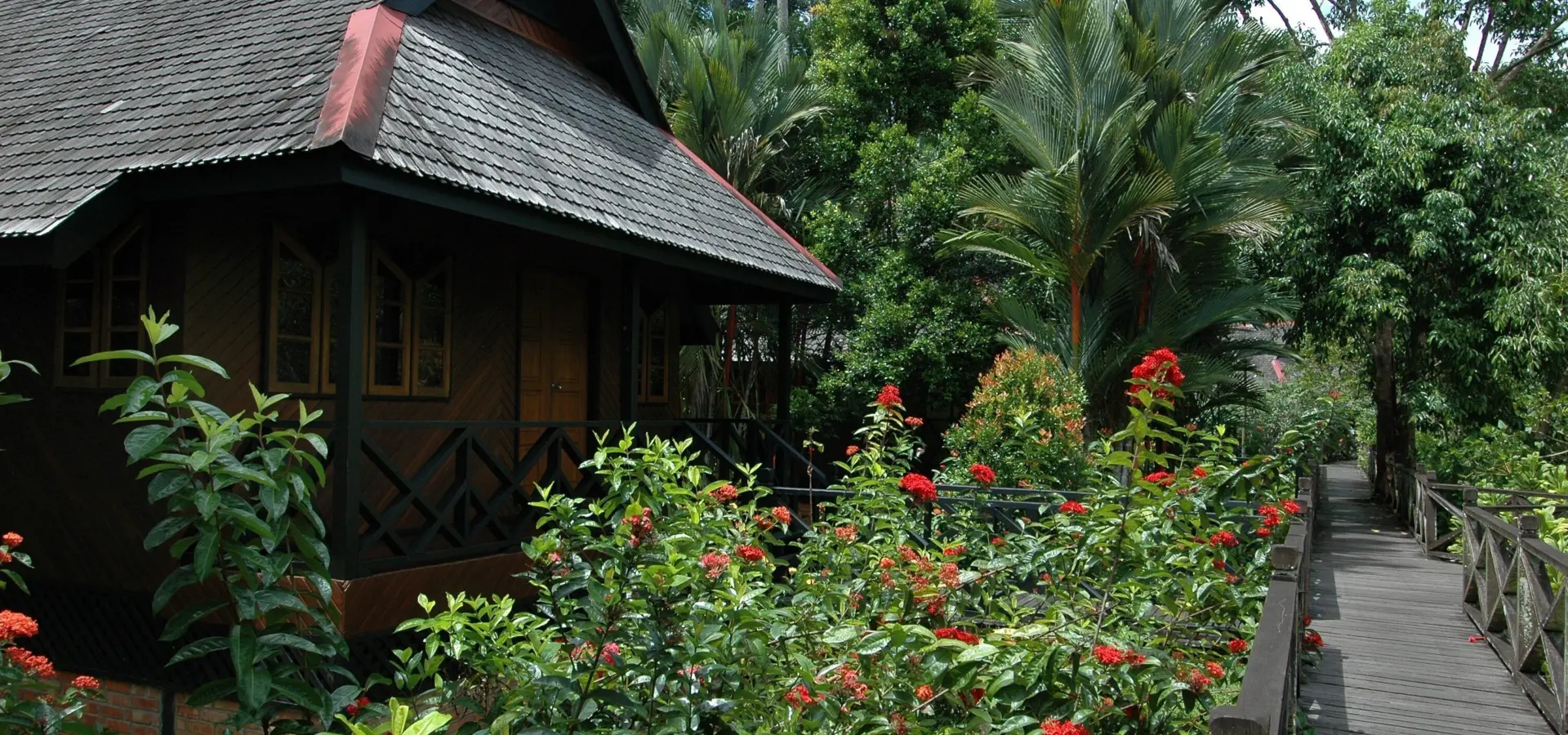 Sepilok 002