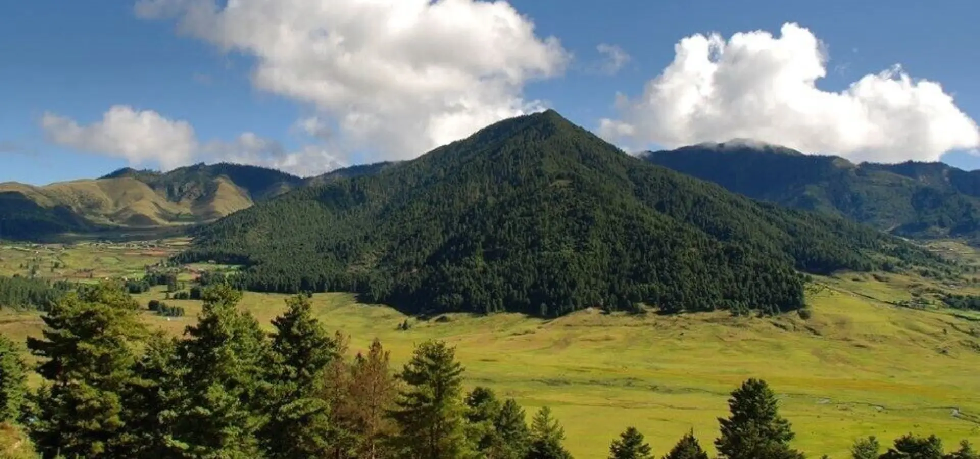 72388949 844184362643380 6543069958887178240 o