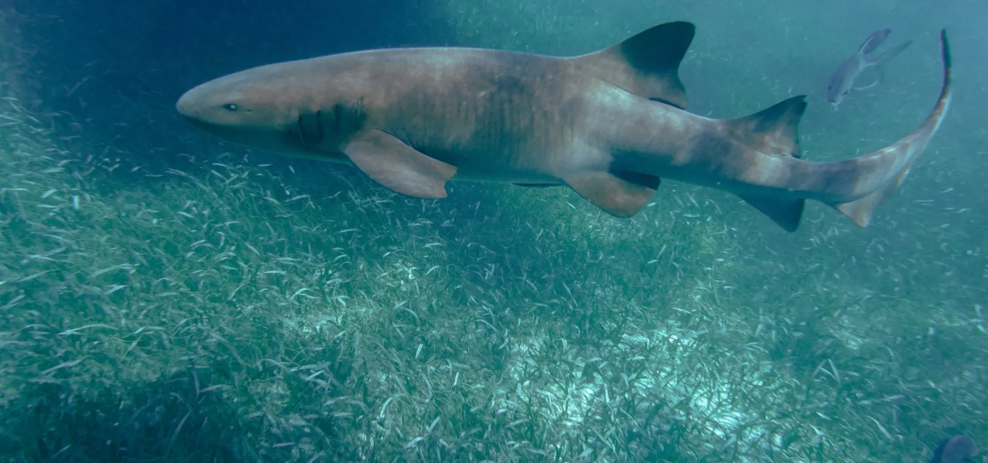 1761666514431wouter naert m6sfxlts7si unsplash