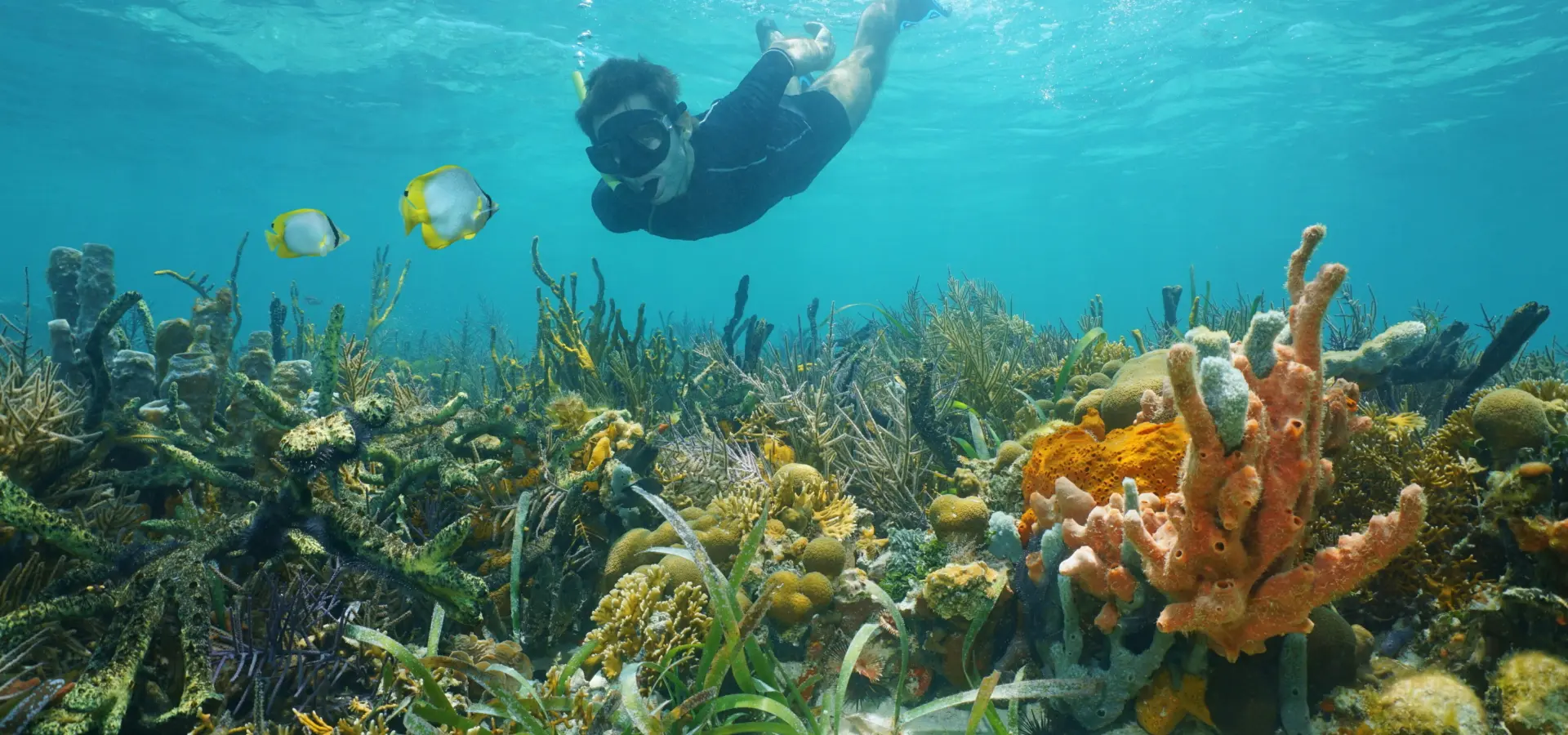 1761732378574shutterstock290580830