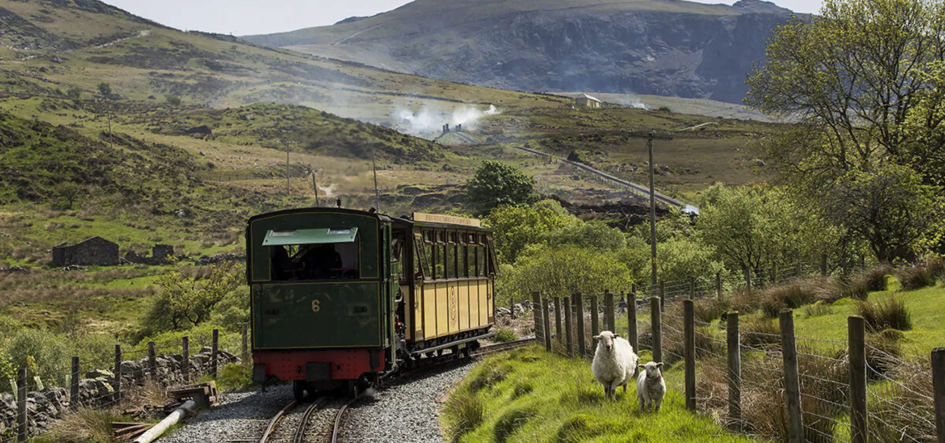 Goat on mountain 17 05 18 i