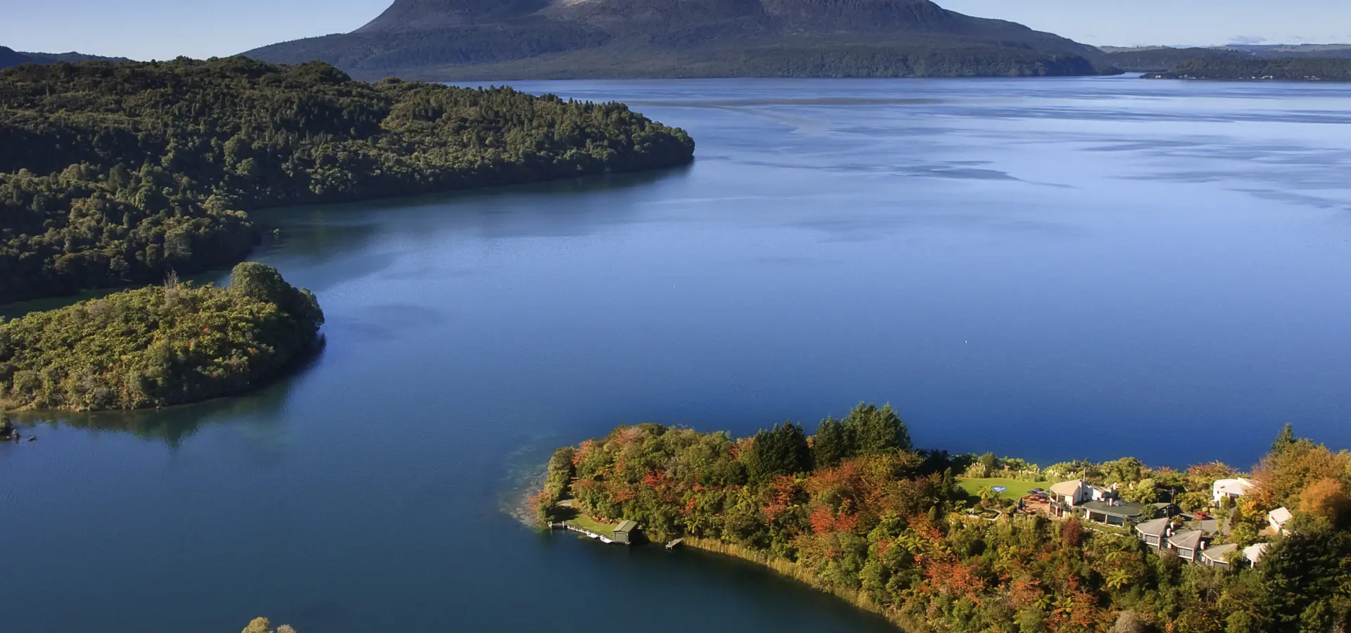 Solitaire lodge nz peninsula image