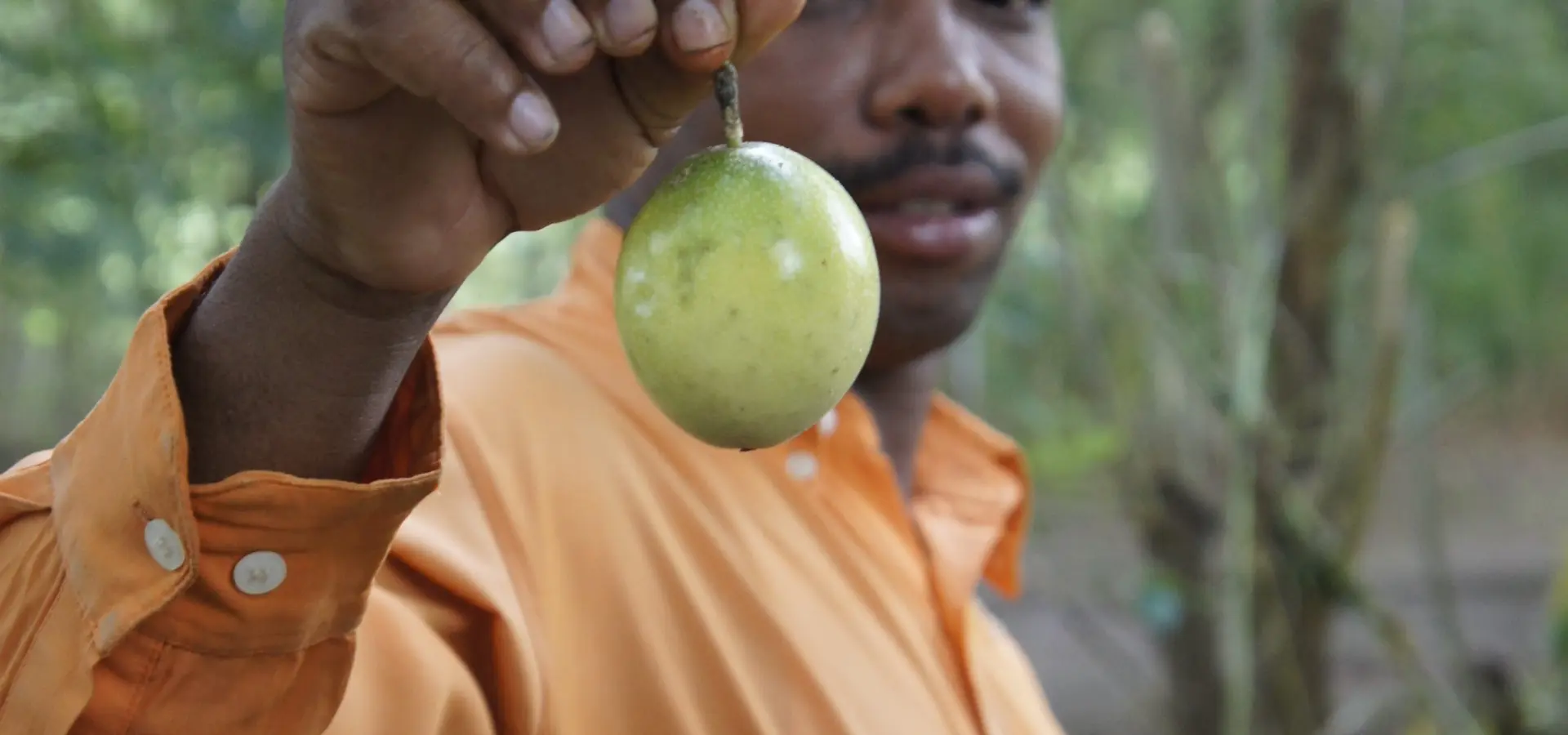 Pb extra1 badru and fruit
