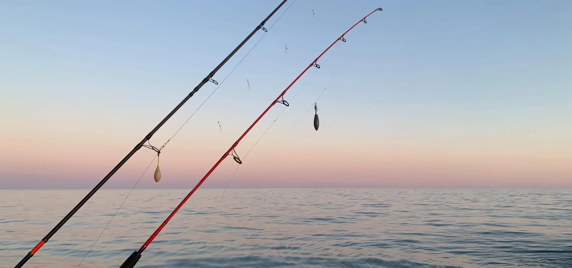 Andre lafuente x285fi9riu0 unsplash