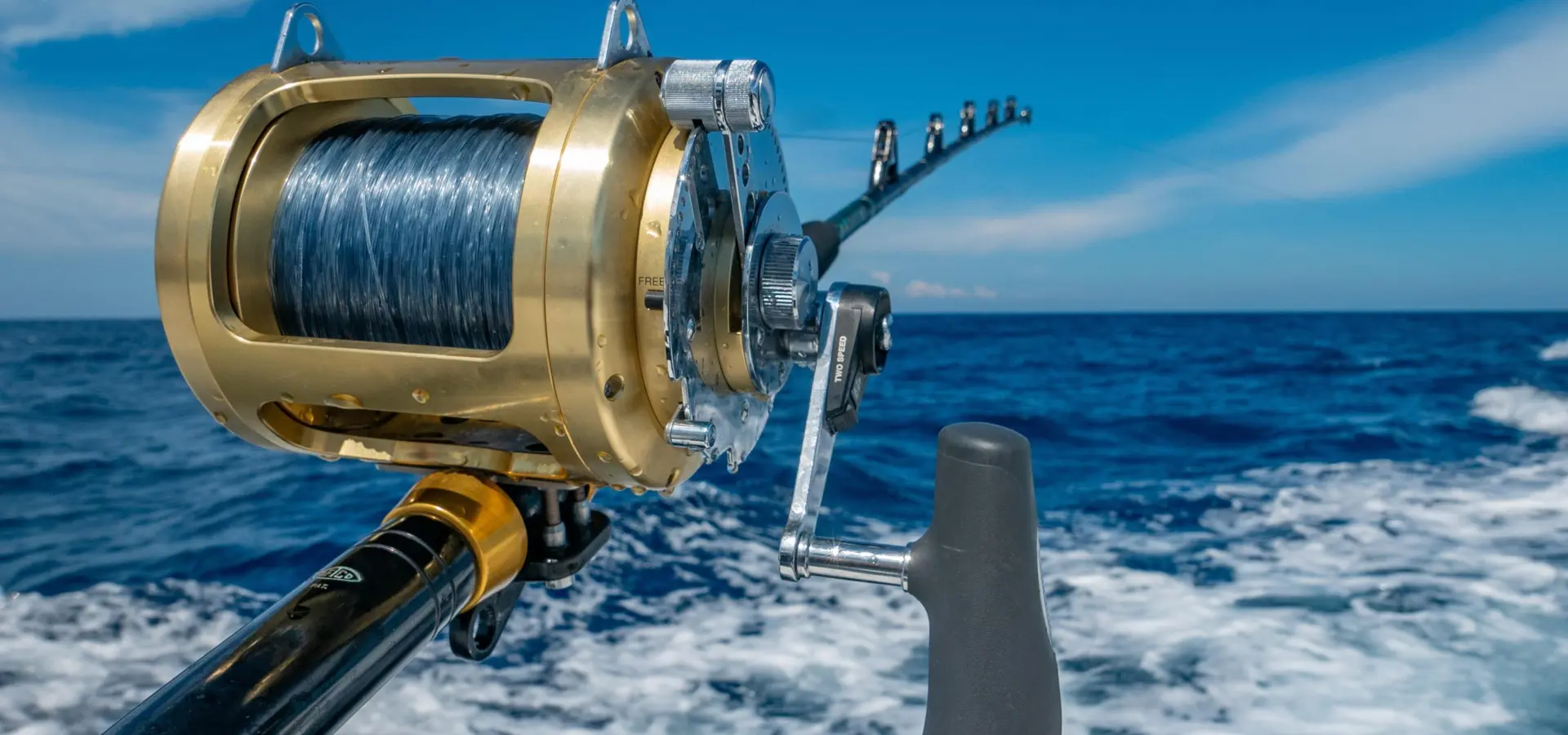 Wynand van poortvliet 86gwjv3rd m unsplash