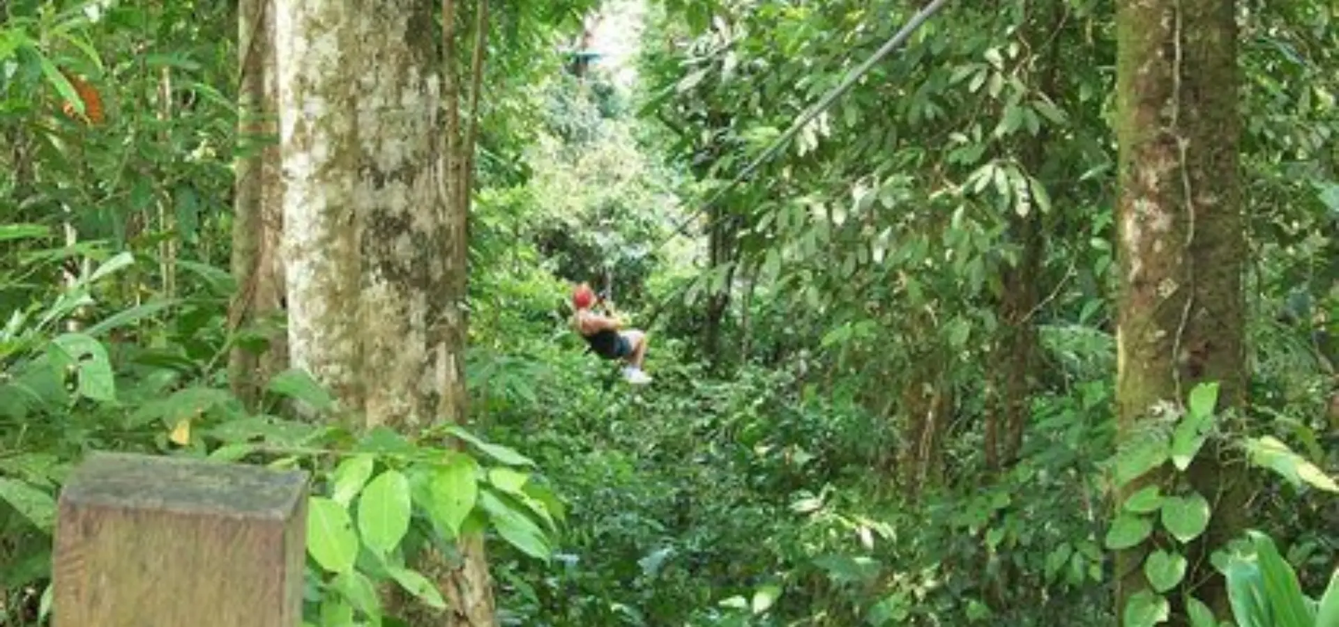 Zipline