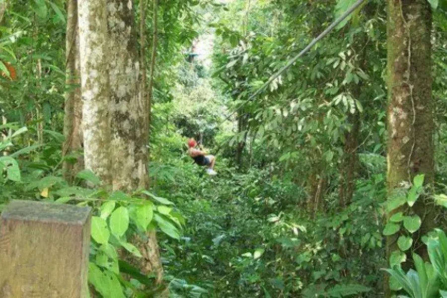 Zipline