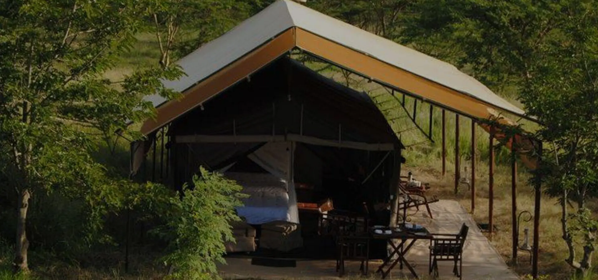 Central serengeti banner