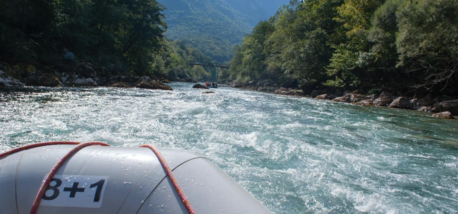 Paddy walker btxqstfyi04 unsplash