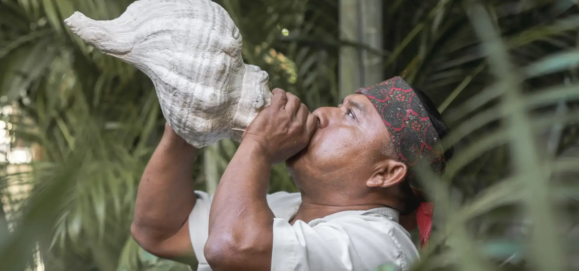 1757067541426schermafbeelding 2025 09 05 121536