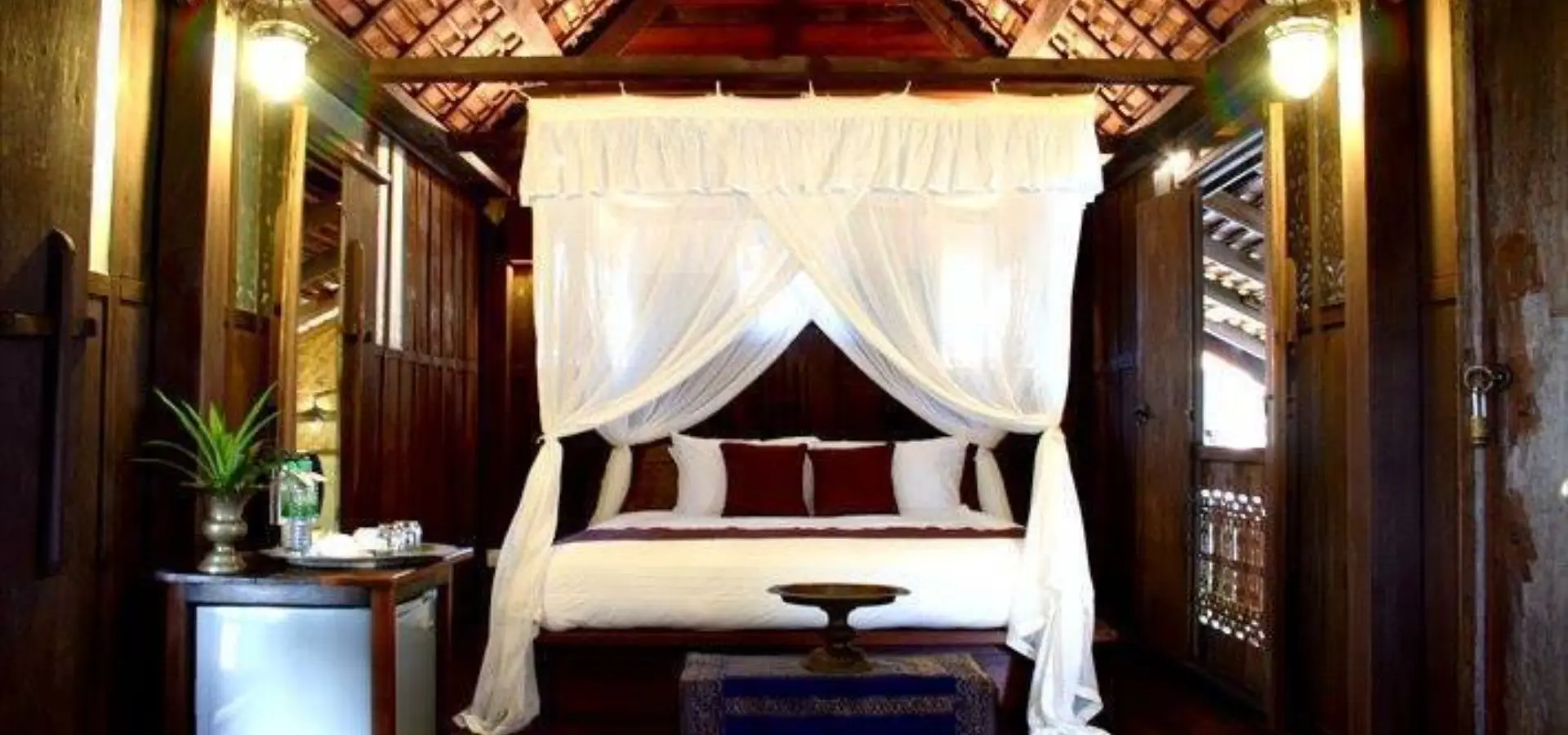 53110944 2101186726583428 6951666943833145344 n