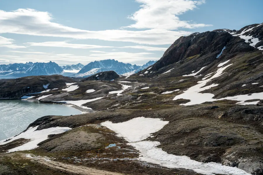 1765373236240no 2083ly280625monacobreentexasbar studioponantyanislasbats