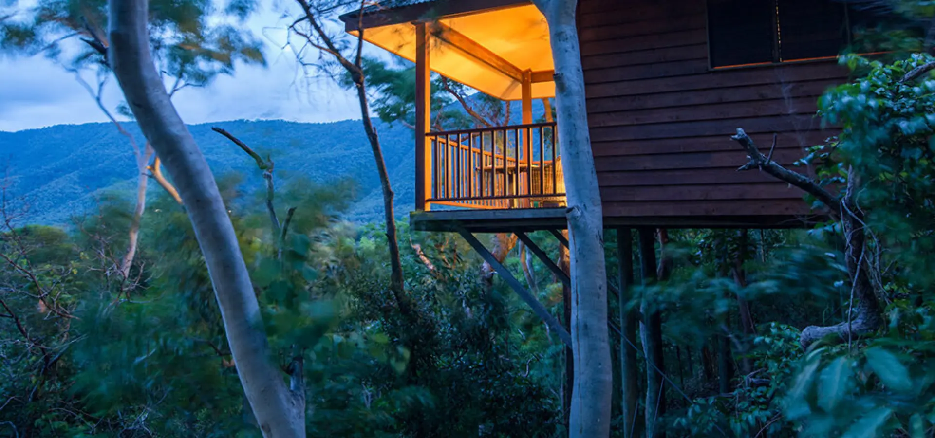 Accommodation eucalypt 06