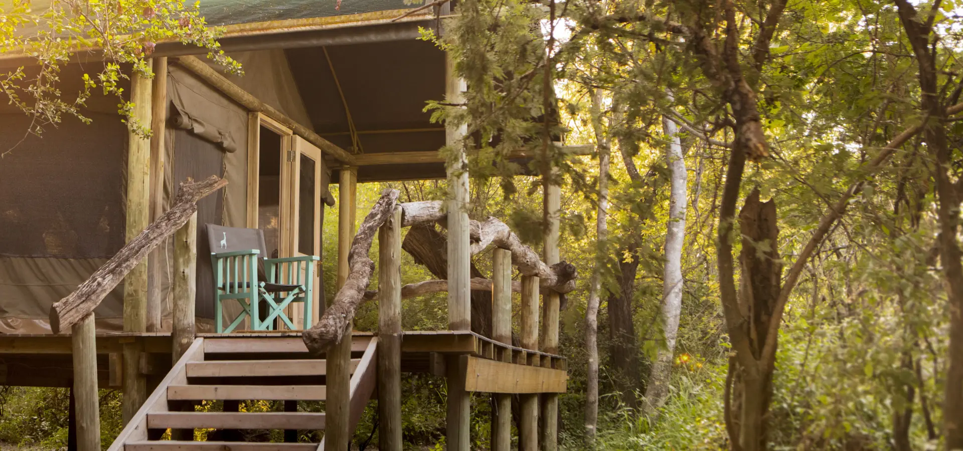 Bots maun thamotelele tentexterior teagancunniffe61