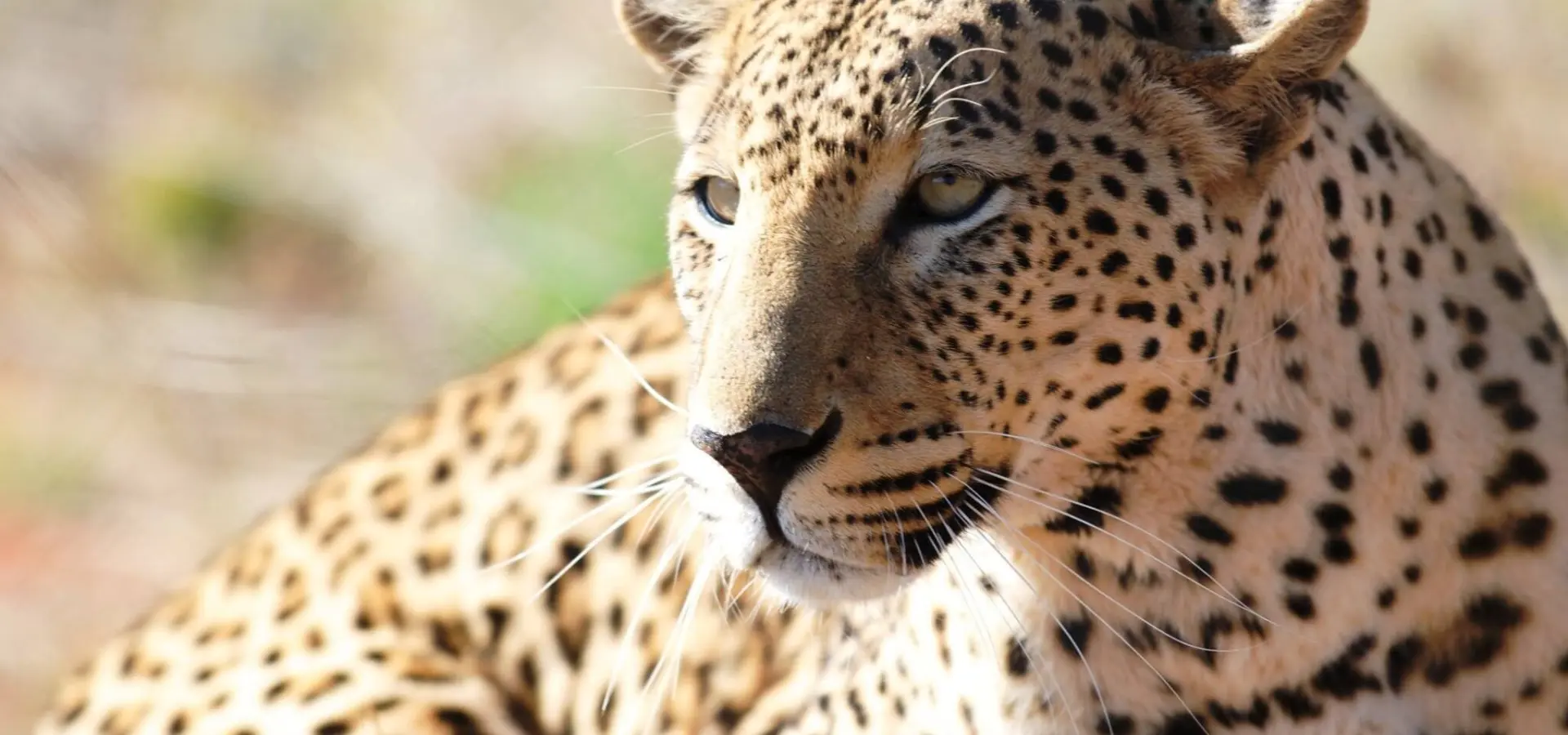 11049479 863709617042002 6451856432673422696 o