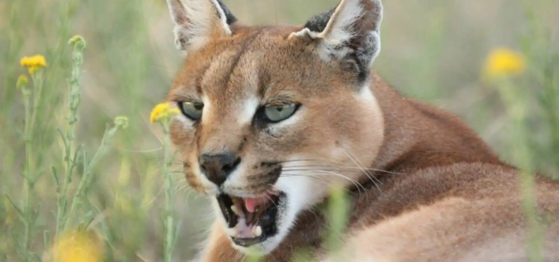 10153269 654754711270828 2030597951 n