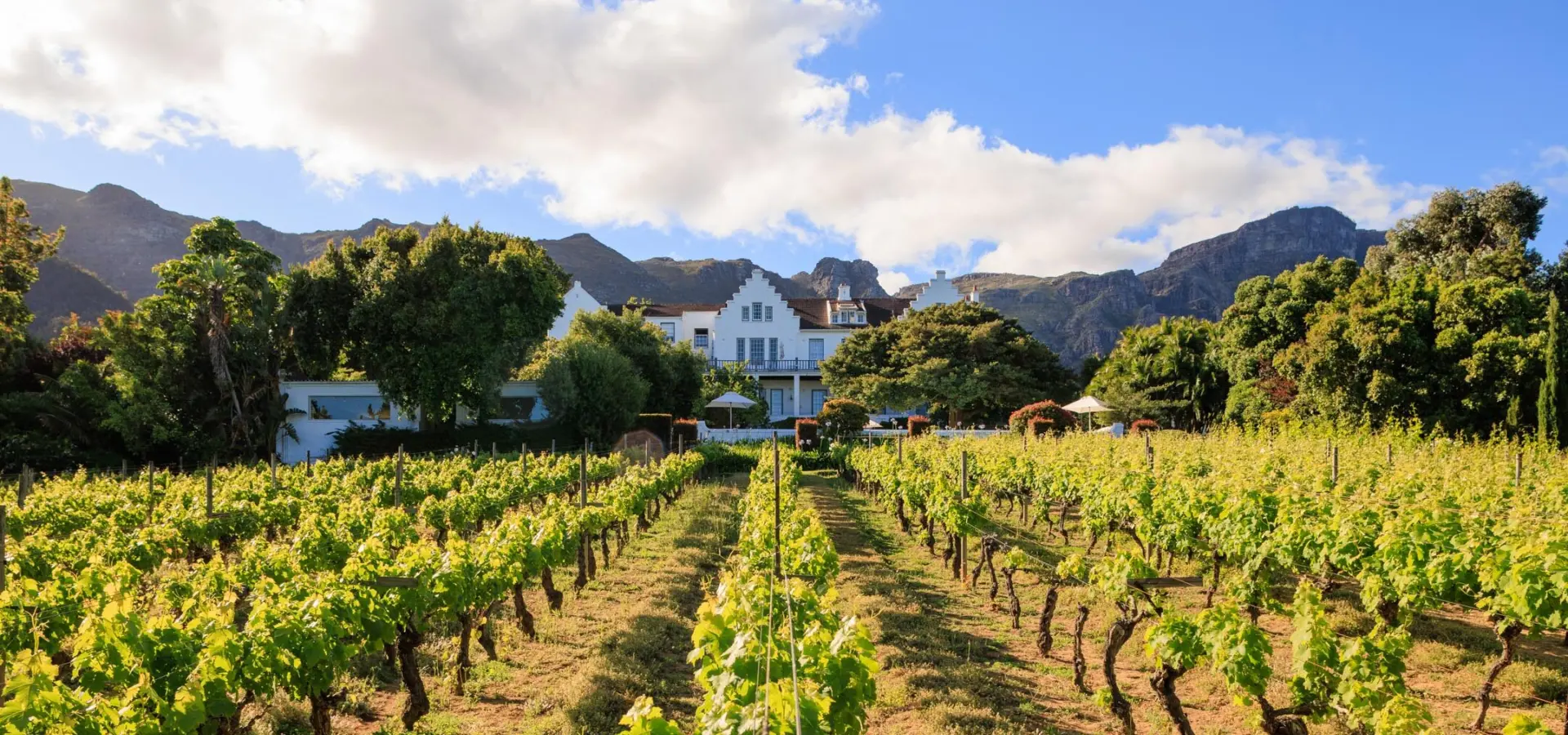 1732524488130 MG 0493