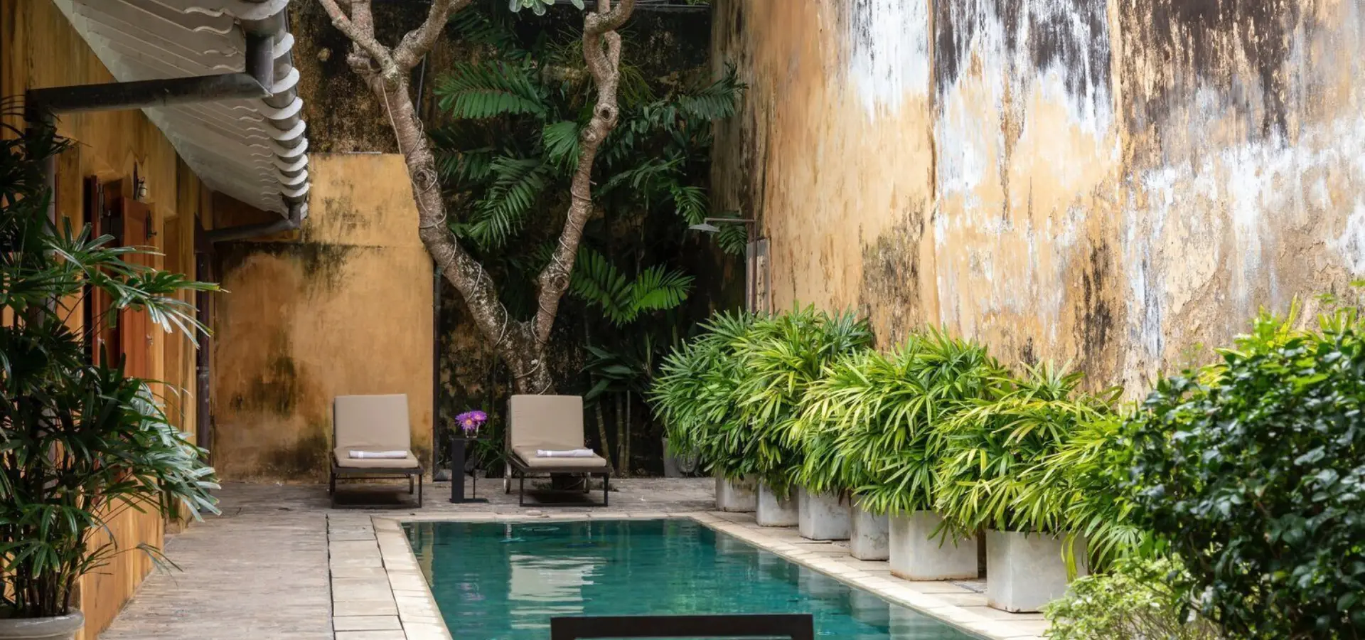 1733215793906 IMG 7557