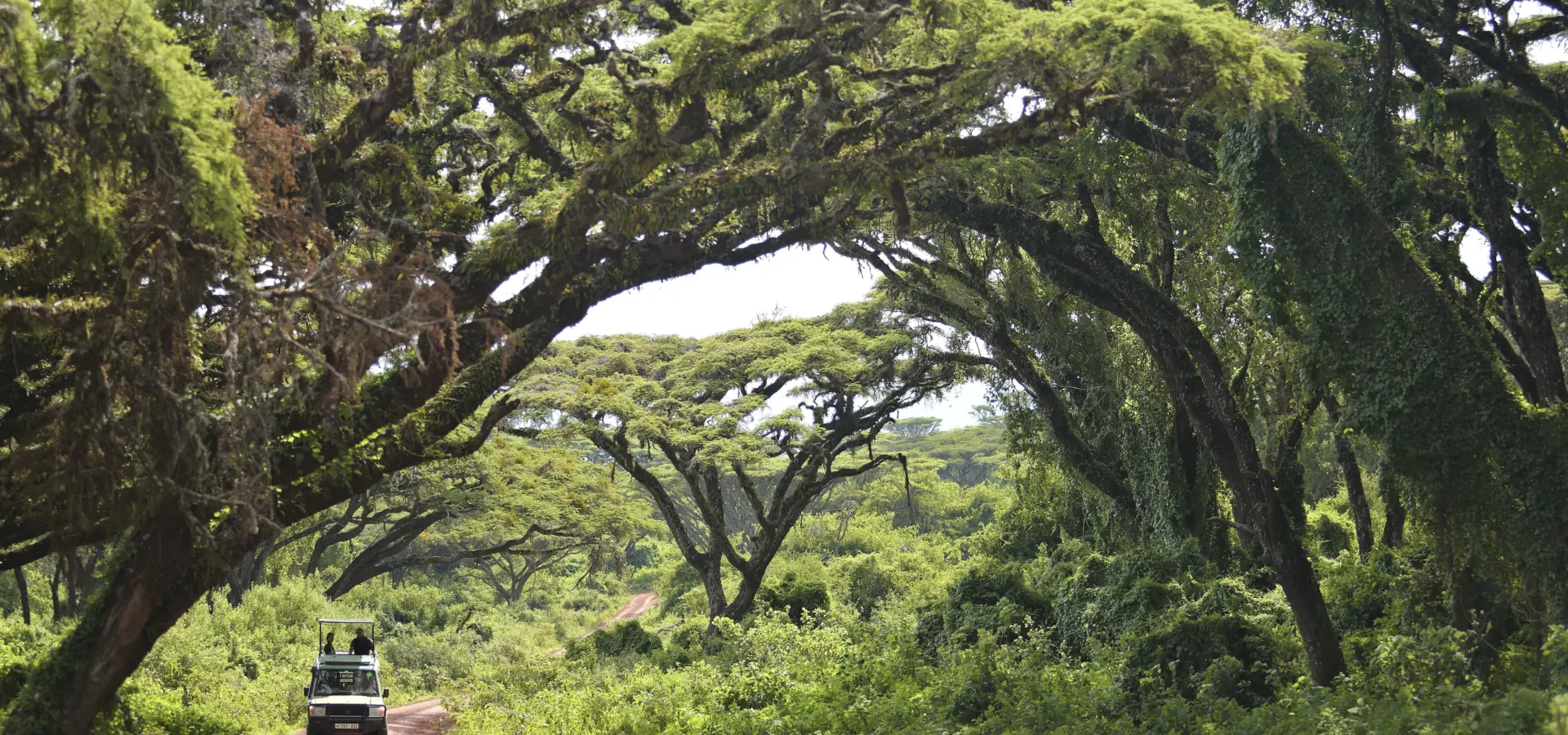 The highlands ngorongororoad