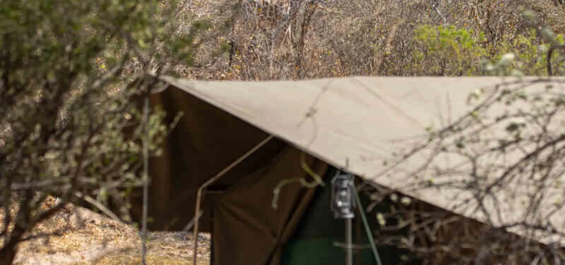 1755086978497mababe 76