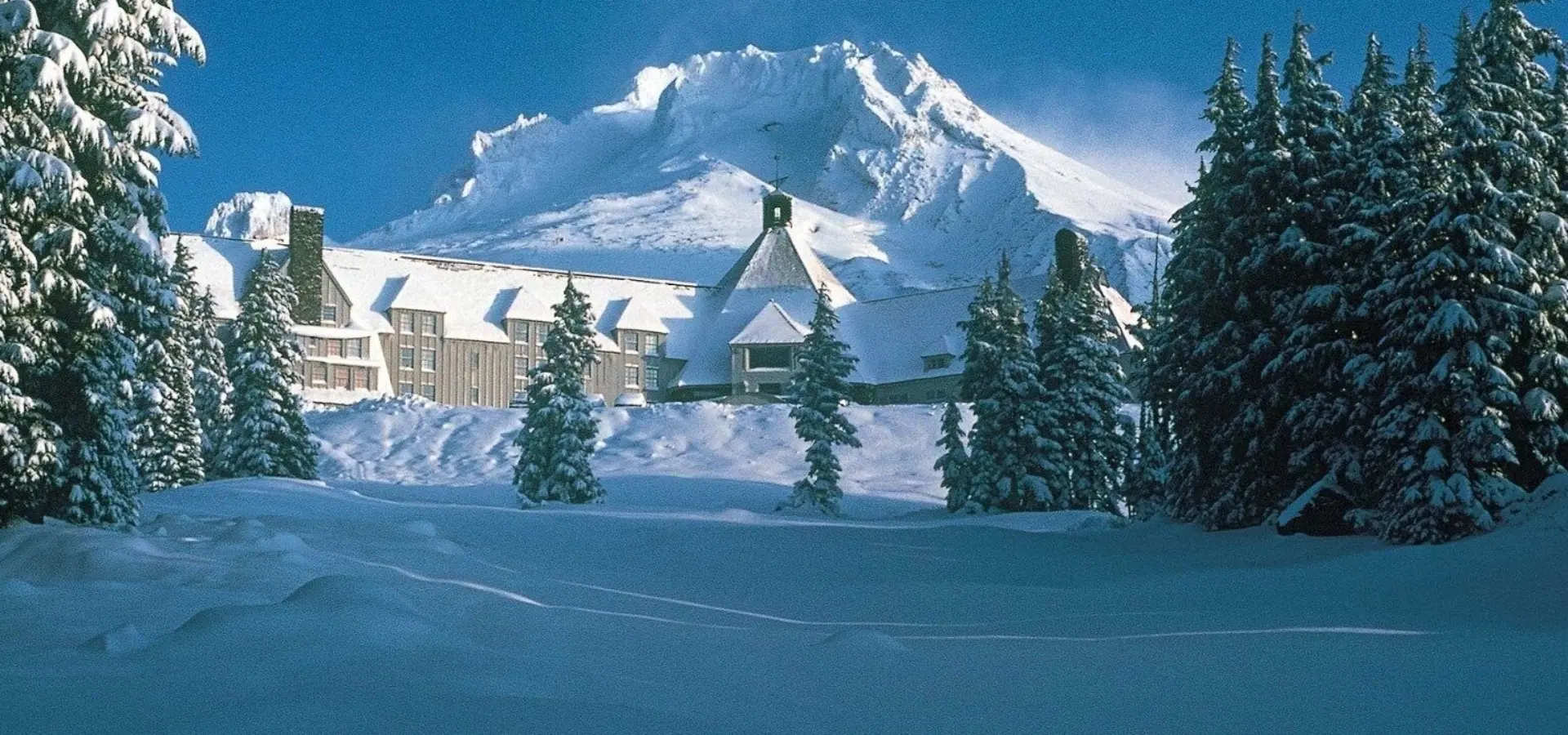 Timberlineheader 3159 1657749123