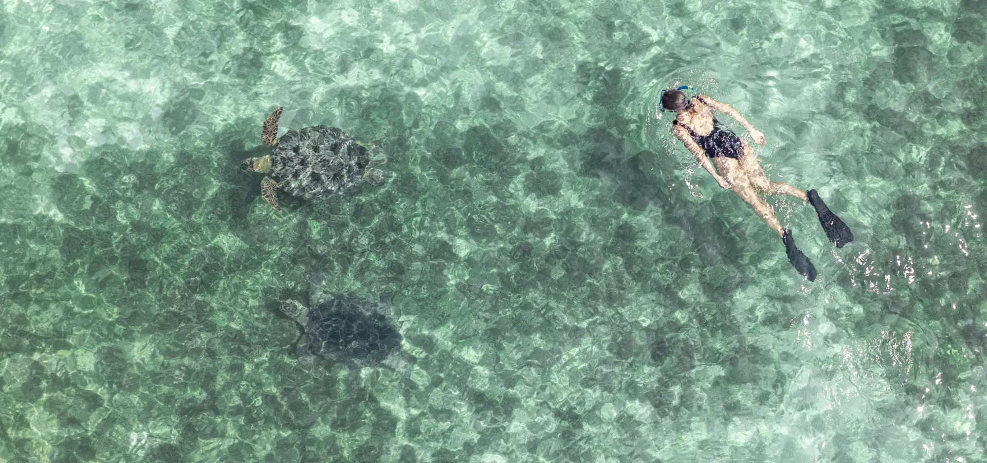 Dji 20240113081911 0016 d edit andrew tsara komba