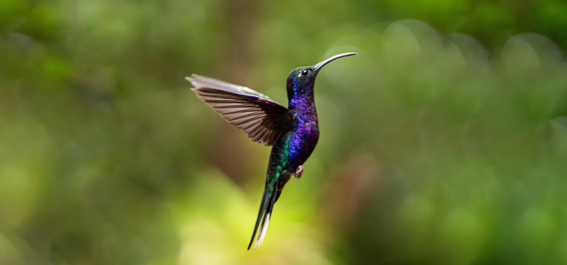 Alexander rotker vfpegm0rck4 unsplash1