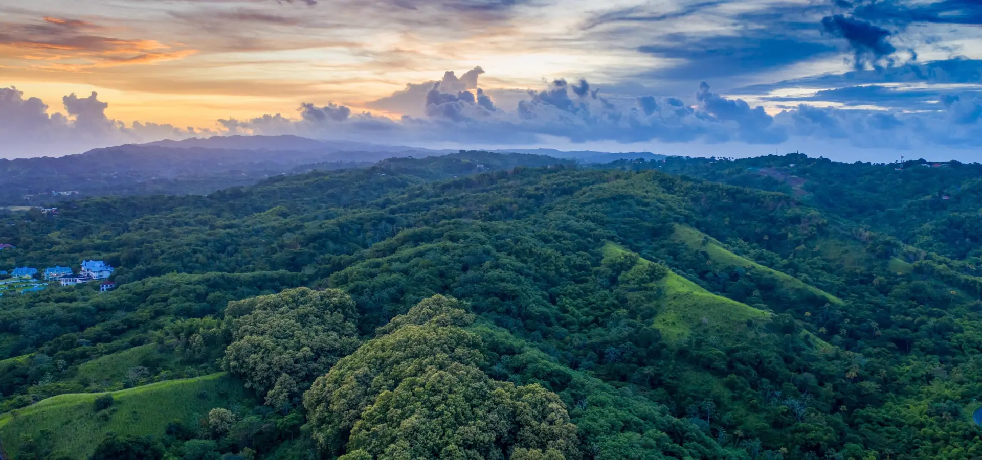Tobago main ridge forest reserve