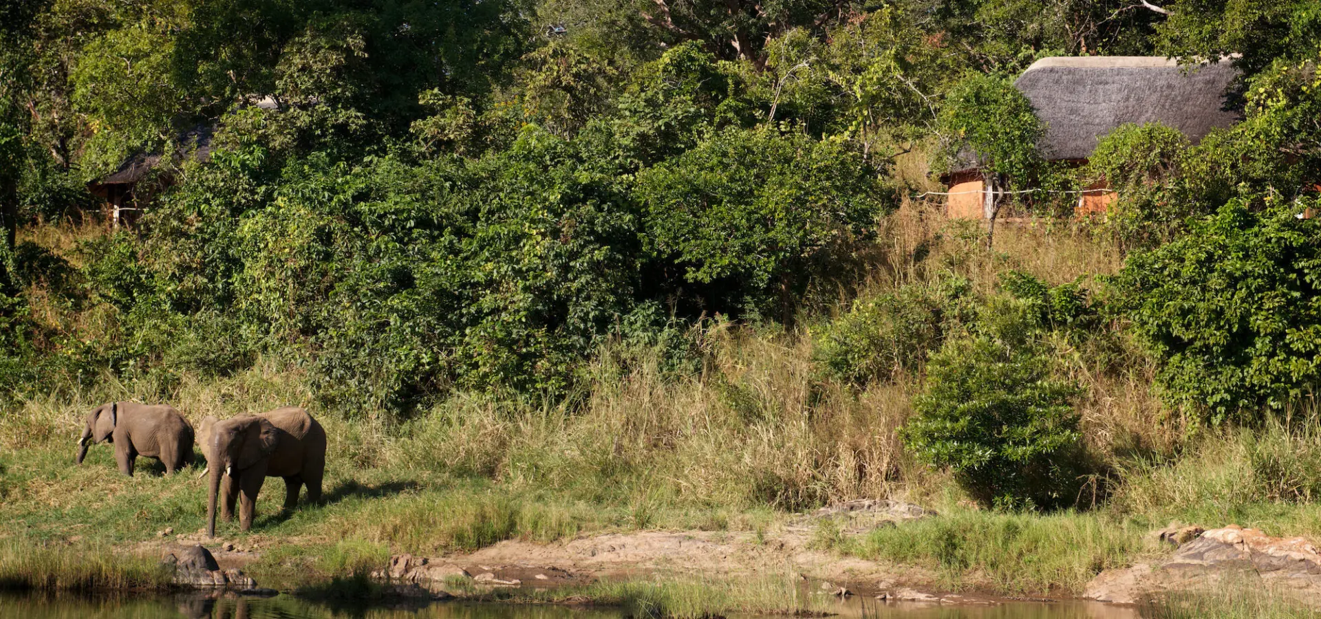 Eles outside chalet tongole gcv2 watermarked