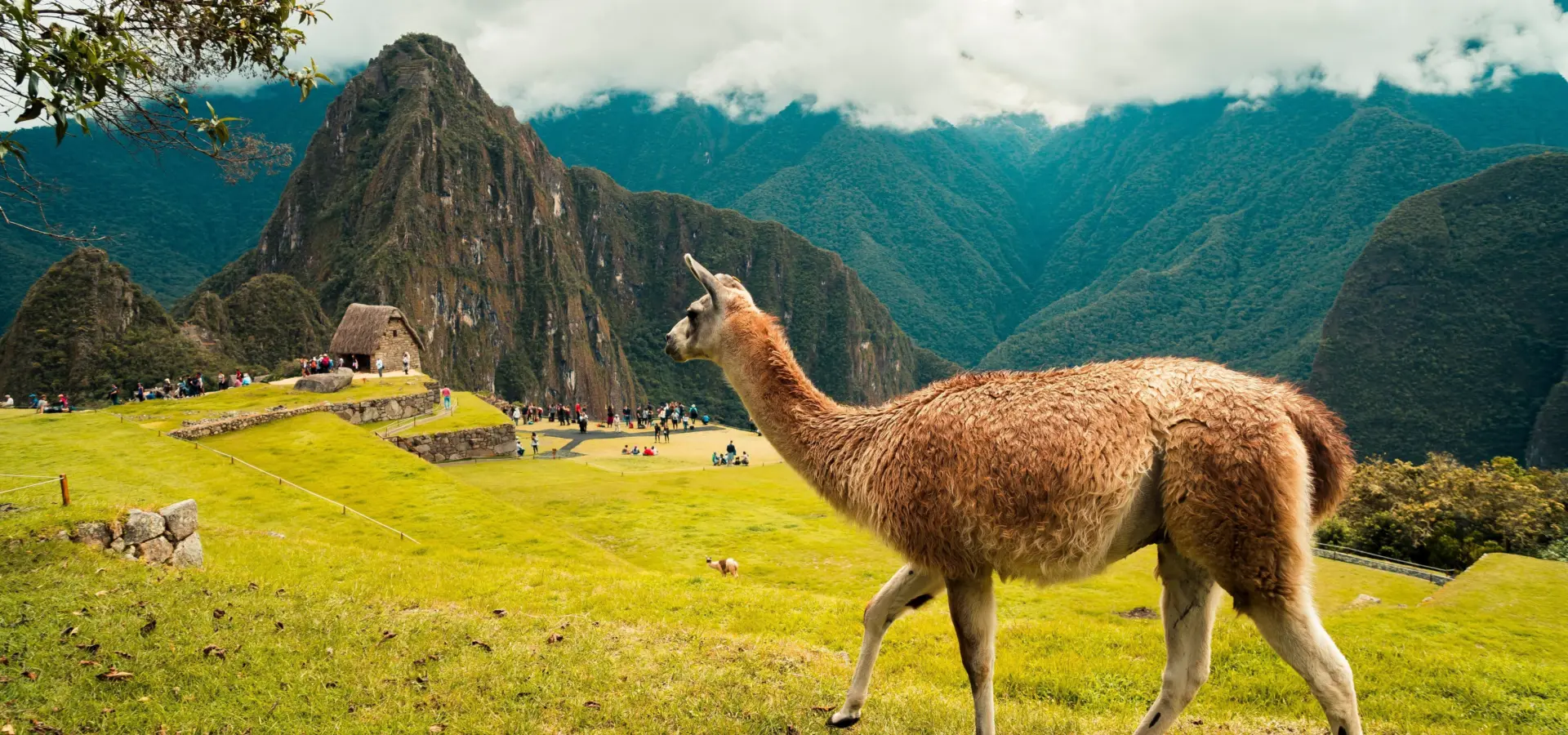 Willian justen de vasconcellos ulunrnuc ok unsplash