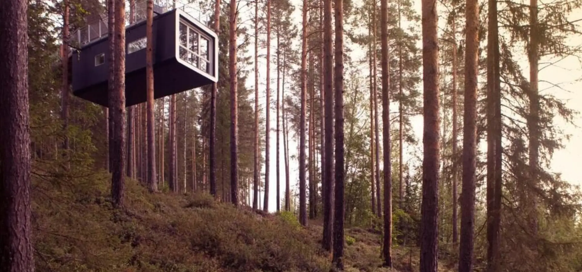 Treehotel 7