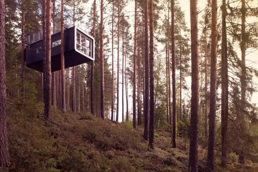 Treehotel 7