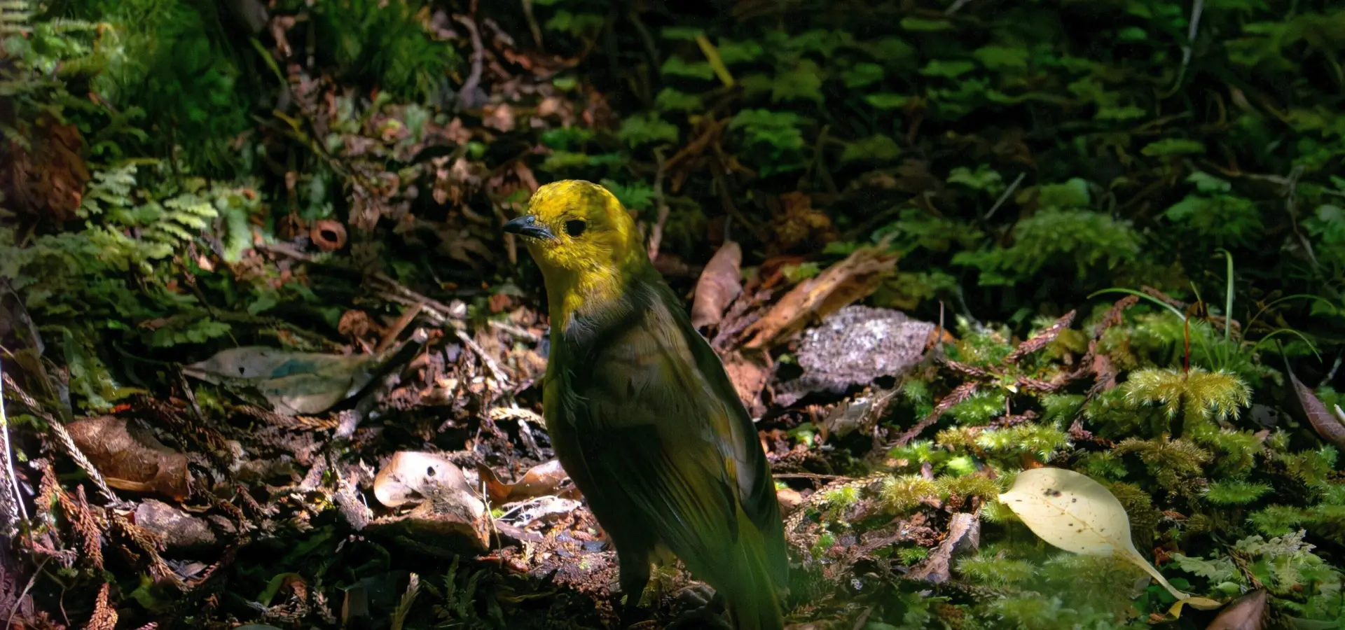 1788532201993katelyn g wwrqiryk9ga unsplash