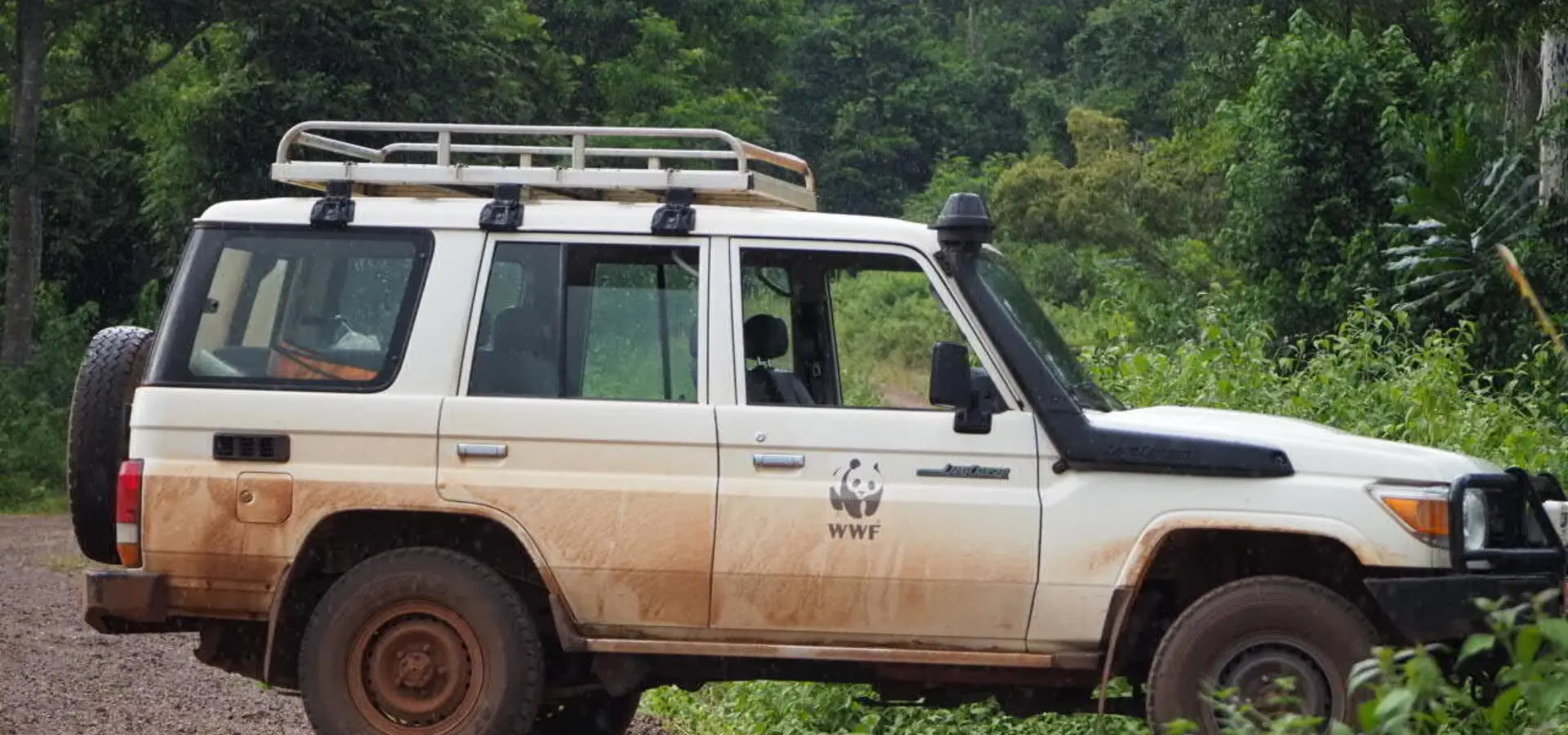 1765966929165p4161274