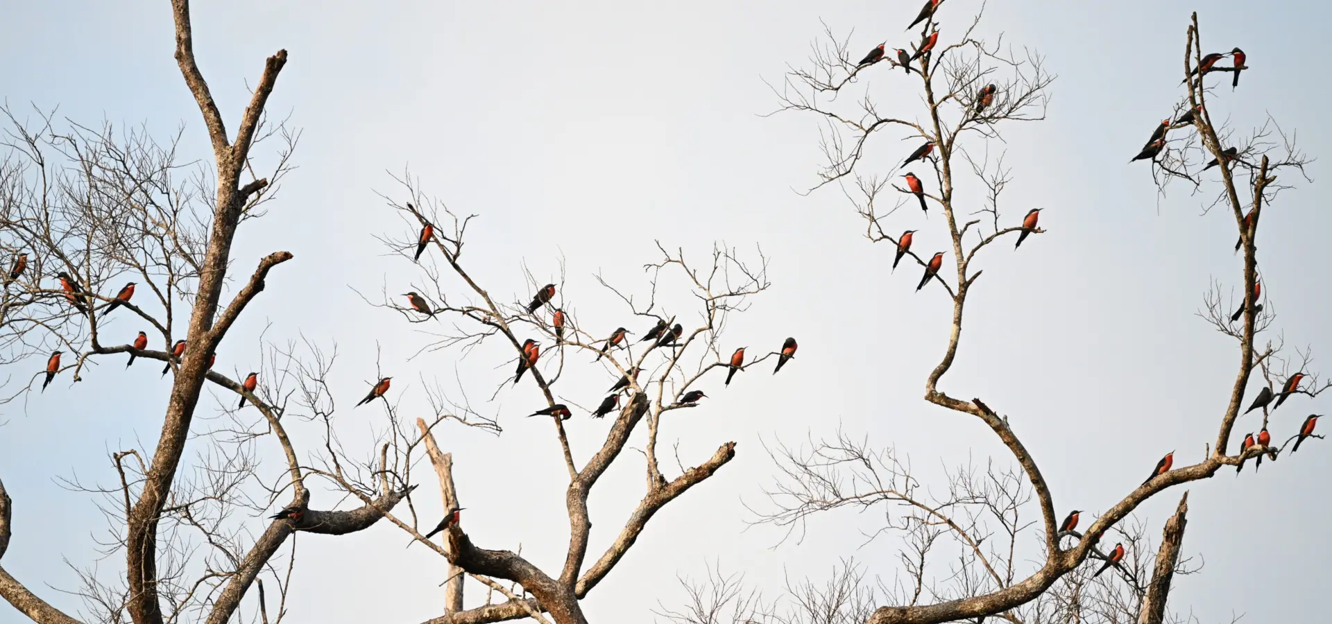 1765979872253dsc2973