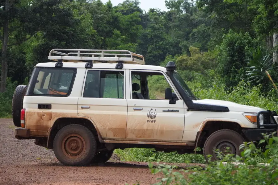 1765966929165p4161274