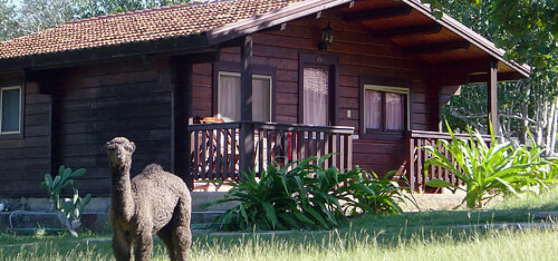Villa cayo saetia large wood cabins