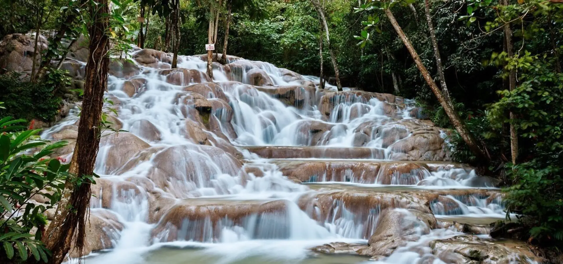 Dunns river falls