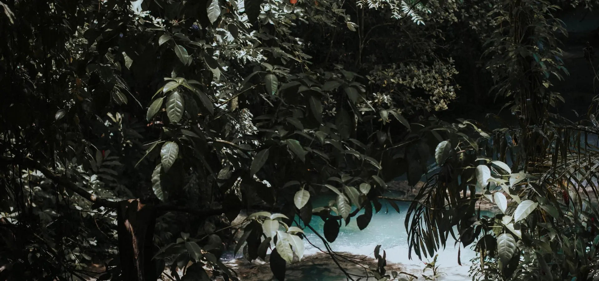 Dunns river falls park